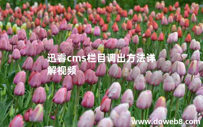 迅睿cms栏目调出方法详解视频