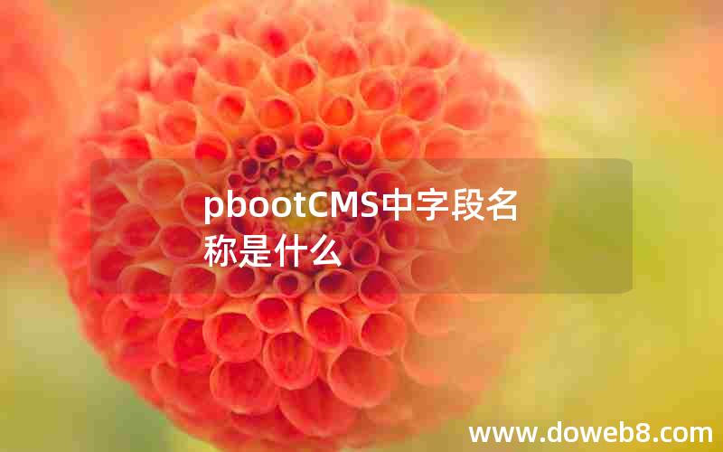 pbootCMS中字段名称是什么