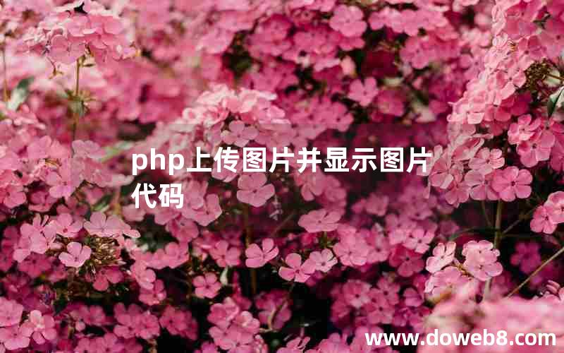 php上传图片并显示图片代码