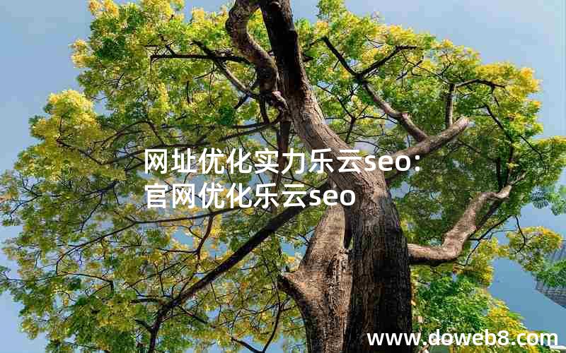 网址优化实力乐云seo:官网优化乐云seo