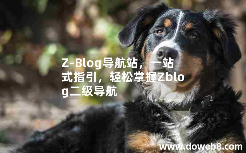 Z-Blog导航站，一站式指引，轻松掌握Zblog二级导航