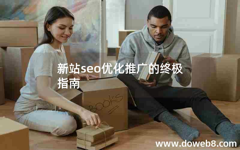 新站seo优化推广的终极指南