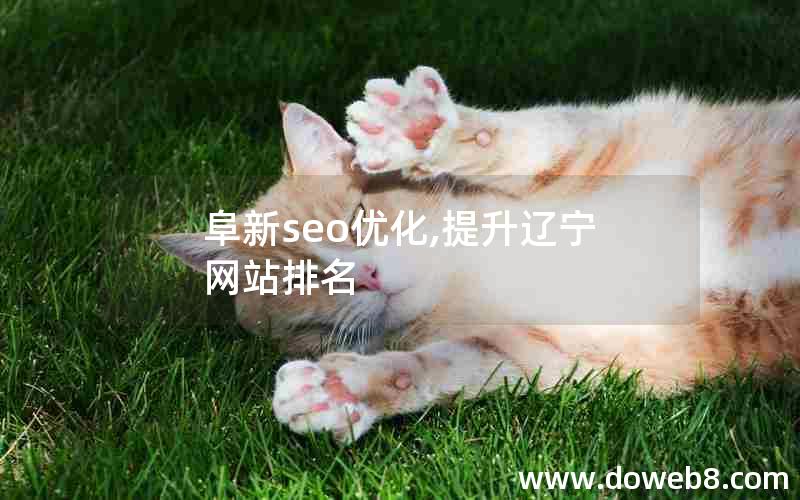 阜新seo优化,提升辽宁网站排名