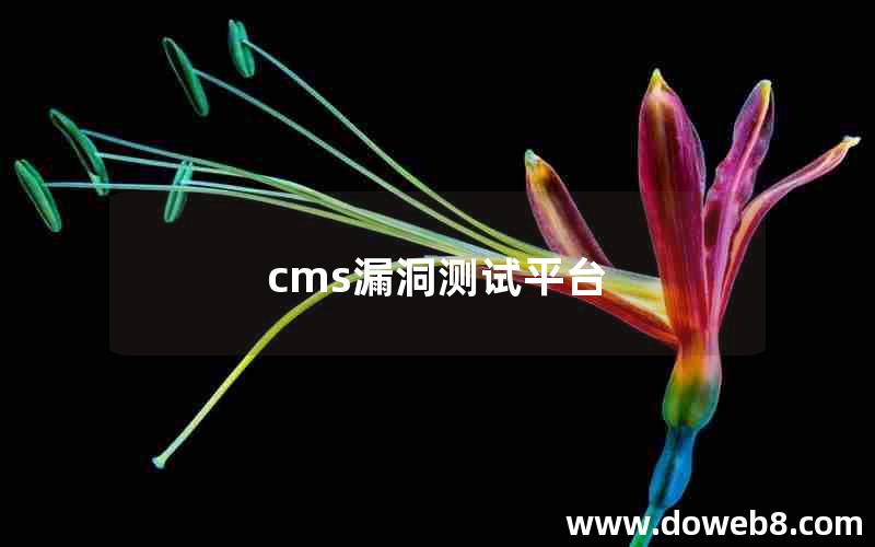 cms漏洞测试平台