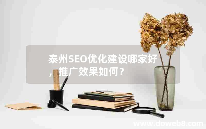 泰州SEO优化建设哪家好，推广效果如何？