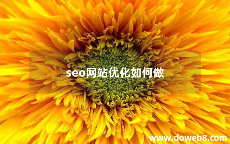 seo网站优化如何做