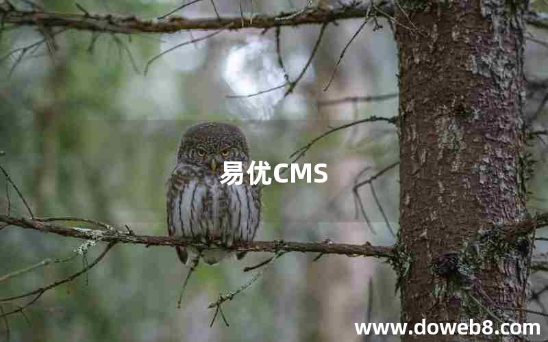 易优CMS