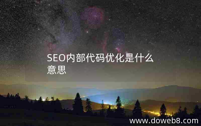 SEO内部代码优化是什么意思;seo内部代码优化是什么意思呀