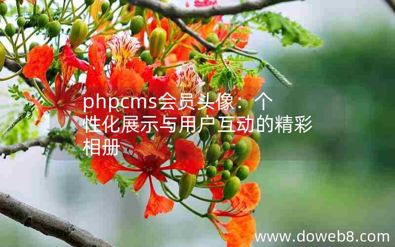 phpcms会员头像：个性化展示与用户互动的精彩相册