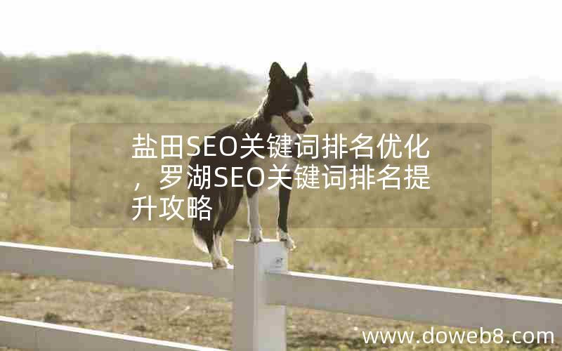 盐田SEO关键词排名优化，罗湖SEO关键词排名提升攻略