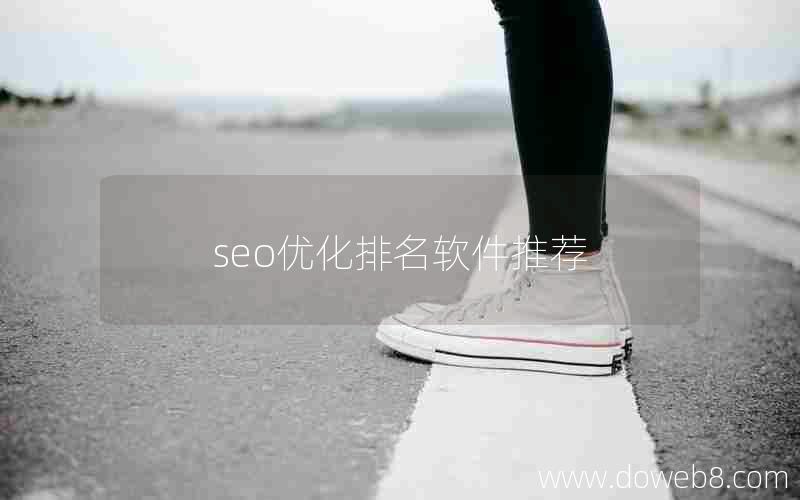 seo优化排名软件推荐