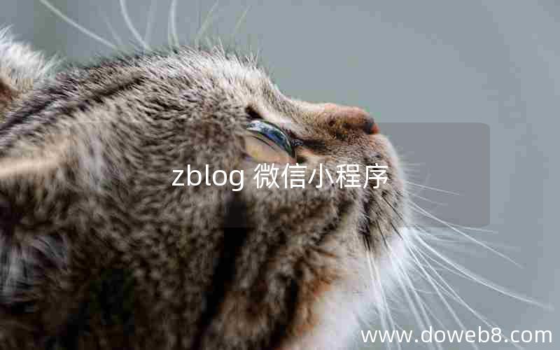 zblog 微信小程序