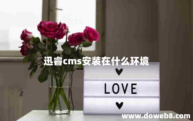 迅睿cms安装在什么环境