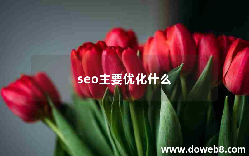 seo主要优化什么