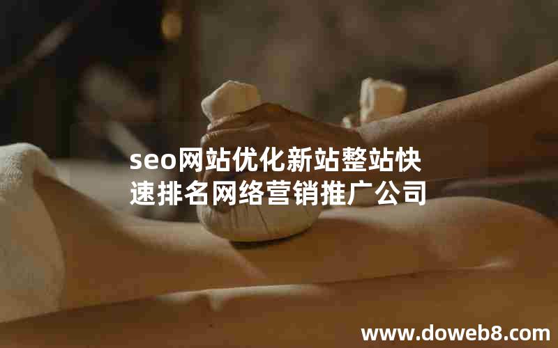 seo网站优化新站整站快速排名网络营销推广公司