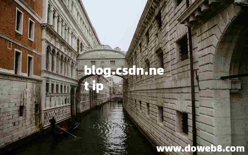 blog.csdn.net ip