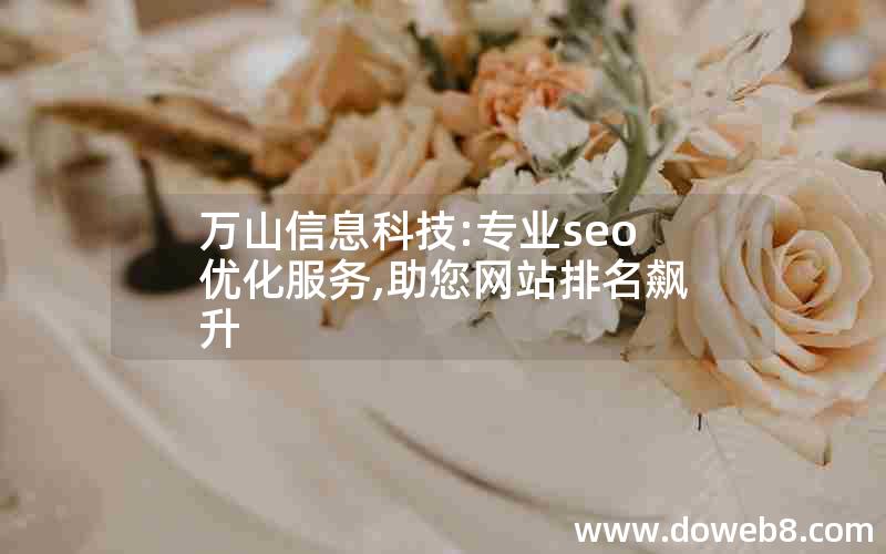 万山信息科技:专业seo优化服务,助您网站排名飙升