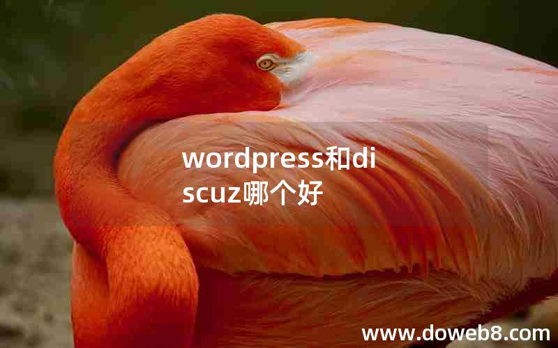 wordpress和discuz哪个好