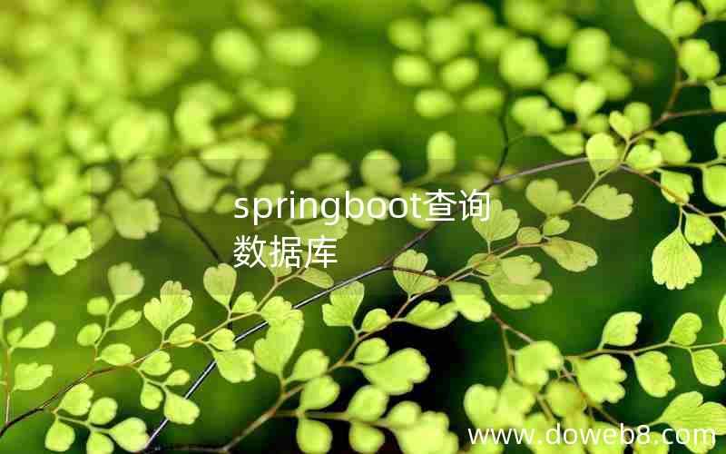 springboot查询数据库