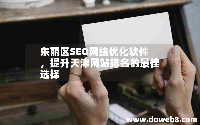 东丽区SEO网络优化软件，提升天津网站排名的最佳选择