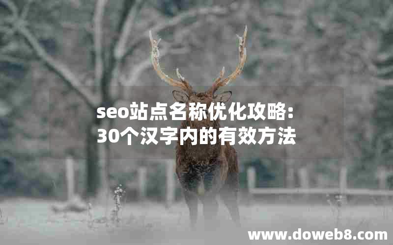 seo站点名称优化攻略:30个汉字内的有效方法