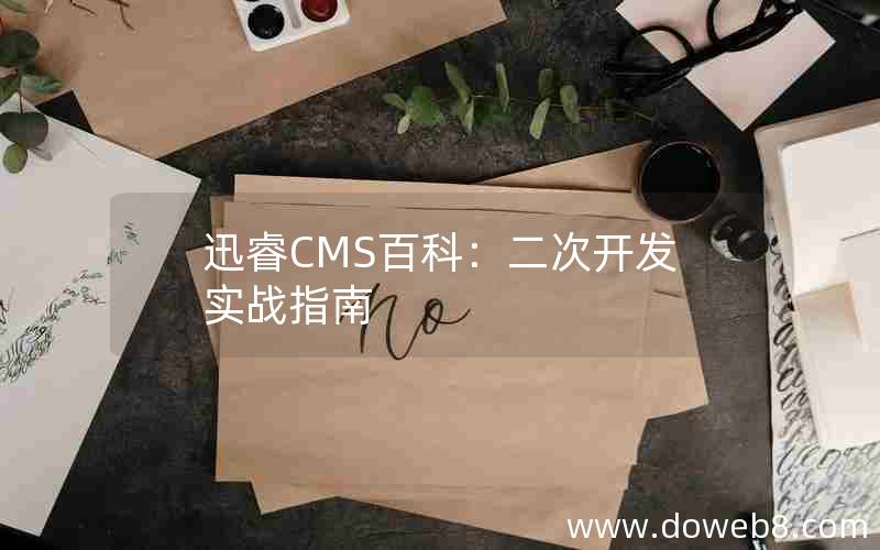 迅睿CMS百科：二次开发实战指南