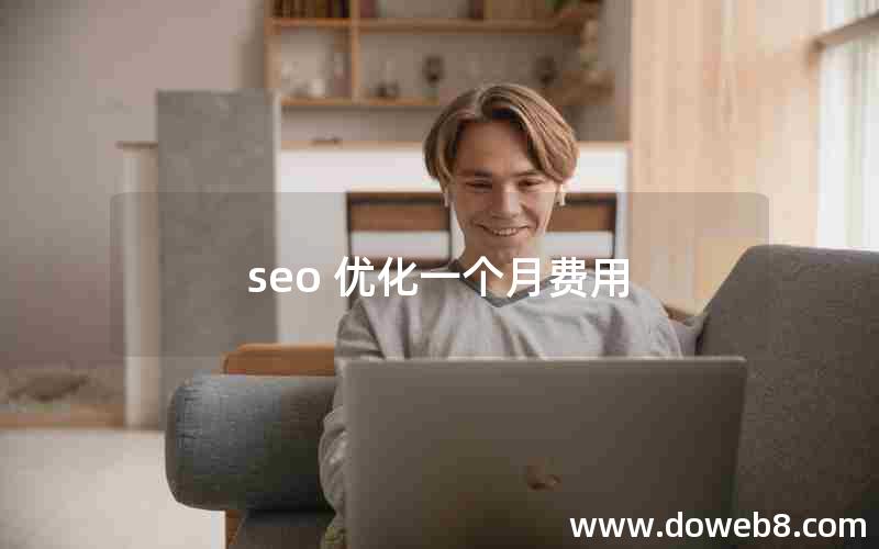 seo 优化一个月费用