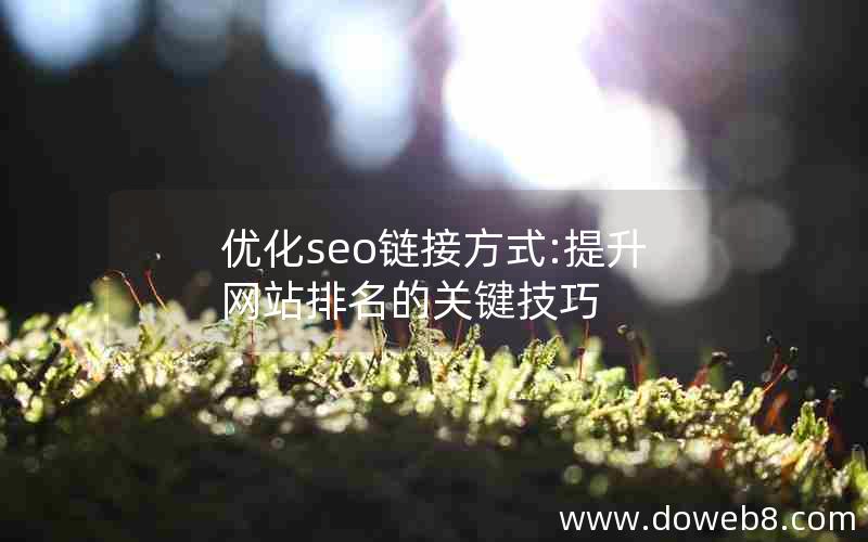 优化seo链接方式:提升网站排名的关键技巧