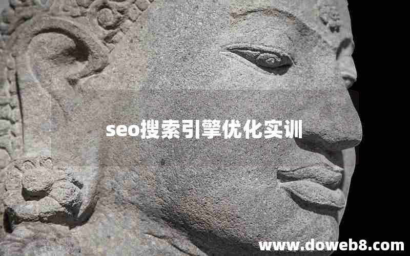 seo搜索引擎优化实训