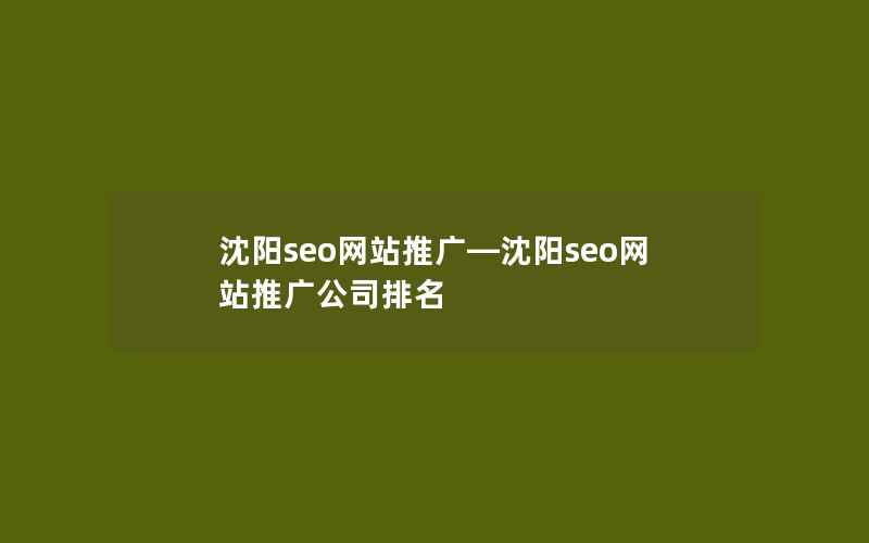 沈阳seo网站推广—沈阳seo网站推广公司排名