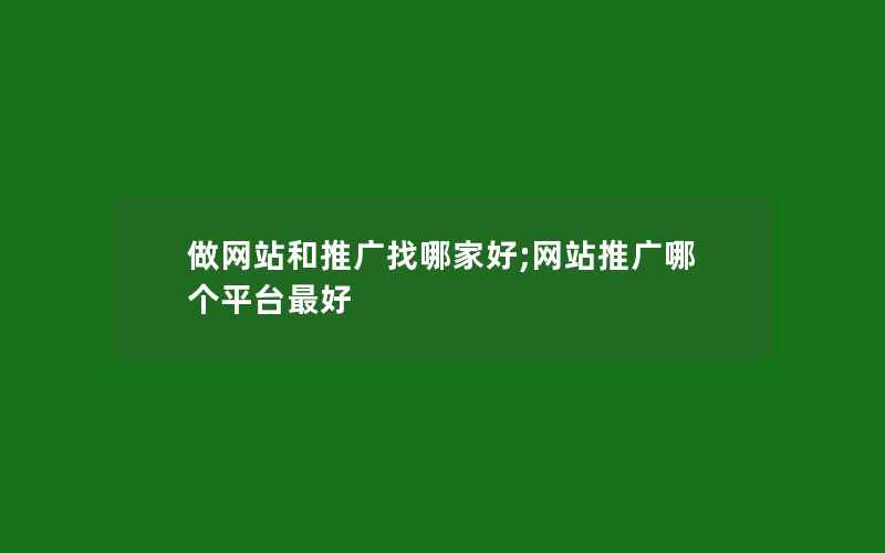 做网站和推广找哪家好;网站推广哪个平台最好