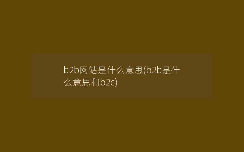 b2b网站是什么意思(b2b是什么意思和b2c)