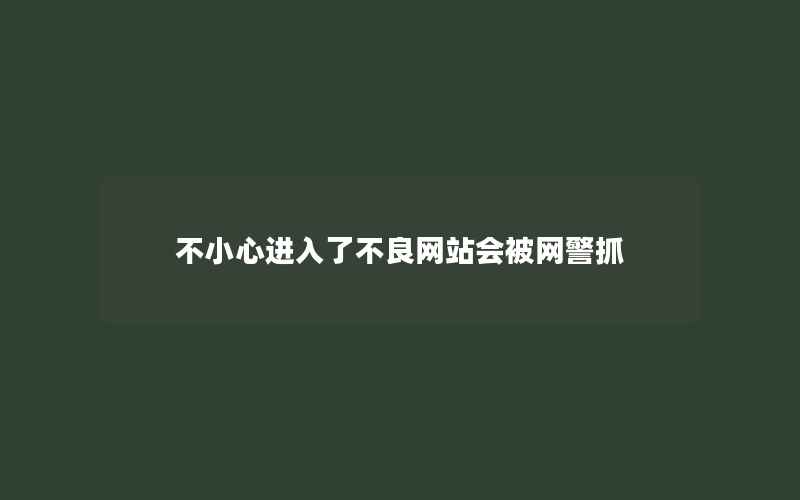 不小心进入了不良网站会被网警抓