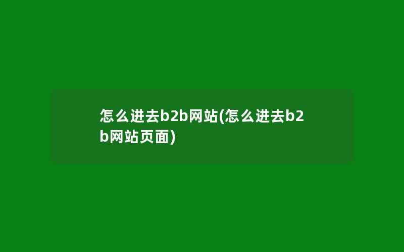 怎么进去b2b网站(怎么进去b2b网站页面)