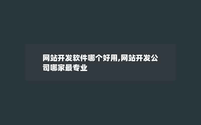 网站开发软件哪个好用,网站开发公司哪家最专业