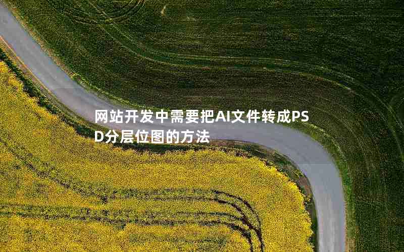 网站开发中需要把AI文件转成PSD分层位图的方法