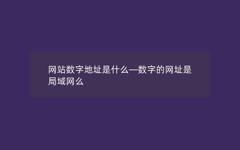 网站数字地址是什么—数字的网址是局域网么