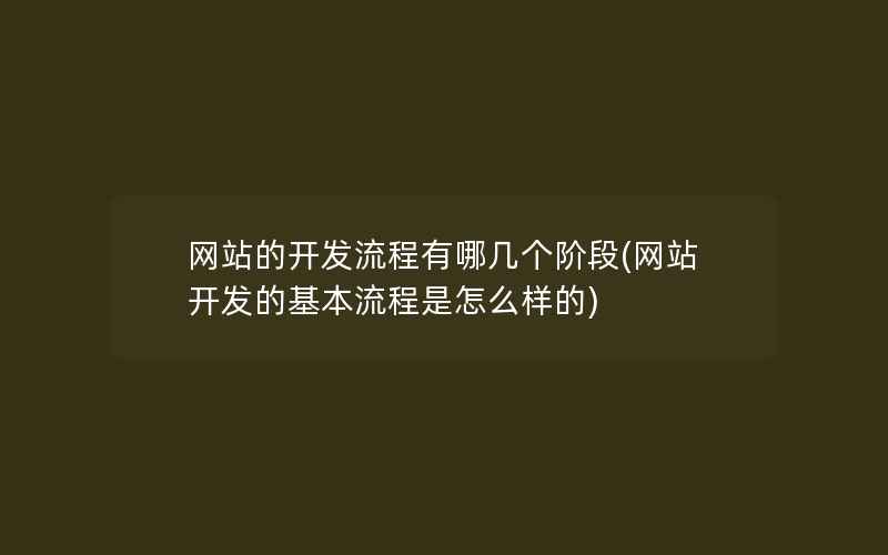 网站的开发流程有哪几个阶段(网站开发的基本流程是怎么样的)