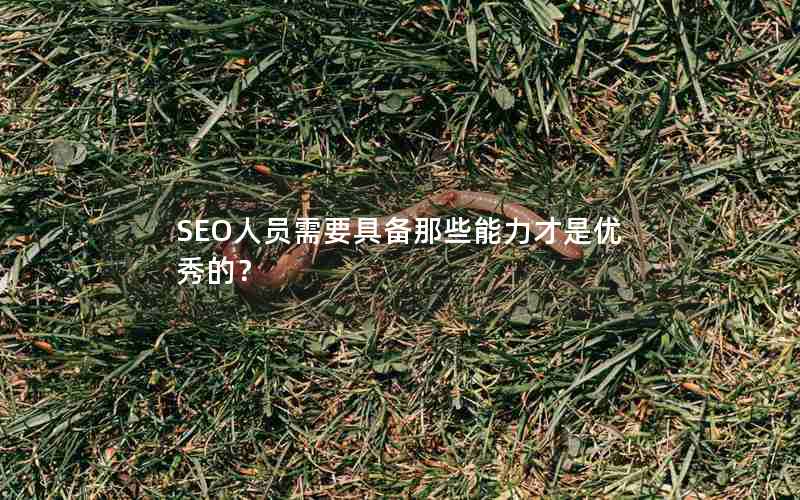 SEO人员需要具备那些能力才是优秀的？