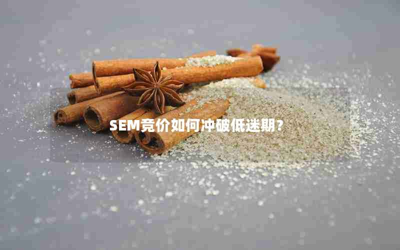 SEM竞价如何冲破低迷期？