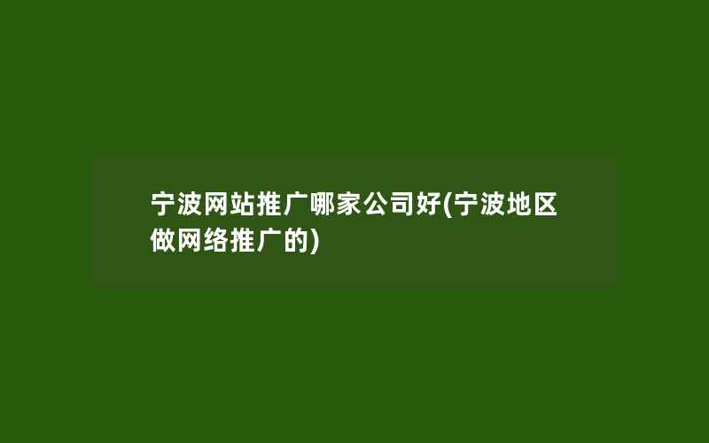 宁波网站推广哪家公司好(宁波地区做网络推广的)