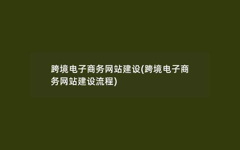 跨境电子商务网站建设(跨境电子商务网站建设流程)