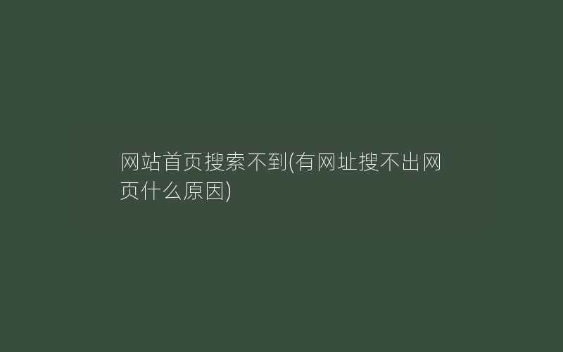 网站首页搜索不到(有网址搜不出网页什么原因)