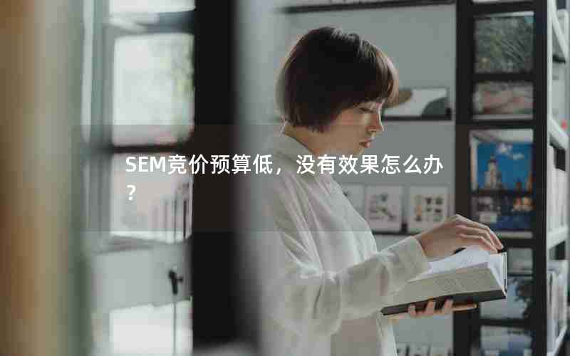 SEM竞价预算低，没有效果怎么办？