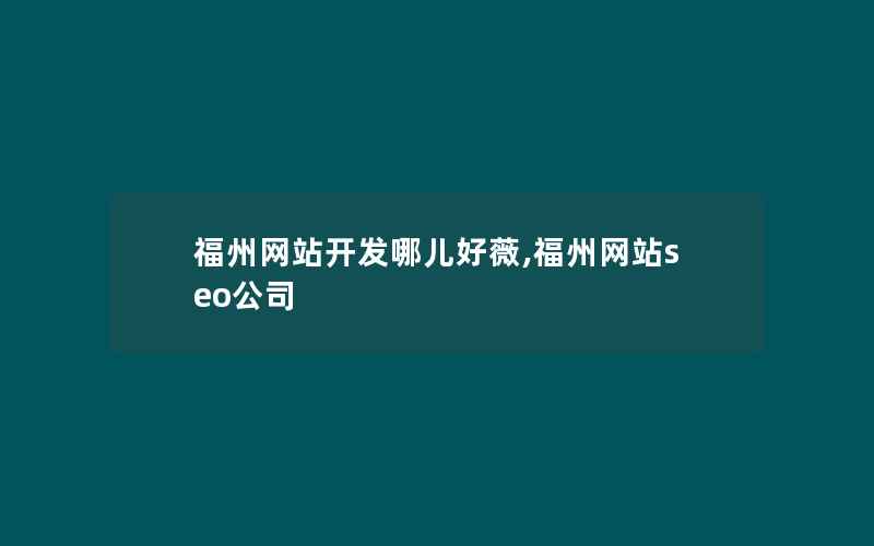 福州网站开发哪儿好薇,福州网站seo公司