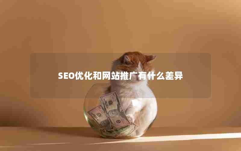 SEO优化和网站推广有什么差异