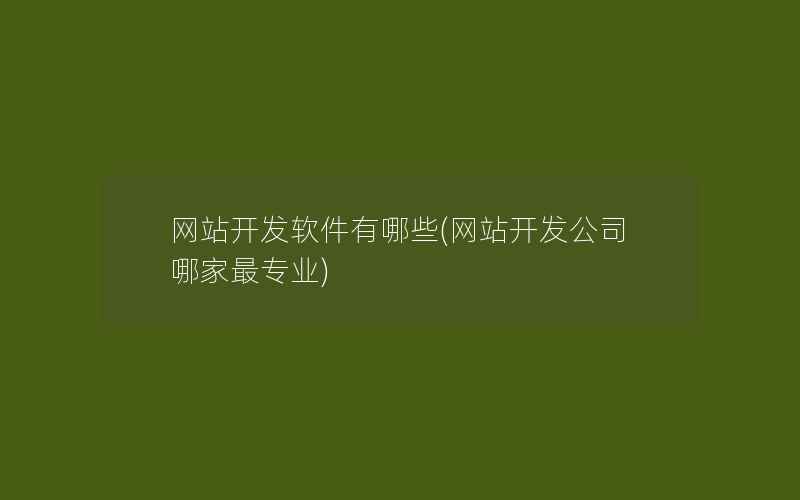 网站开发软件有哪些(网站开发公司哪家最专业)