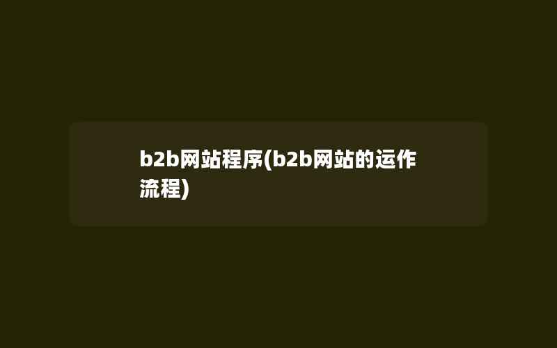 b2b网站程序(b2b网站的运作流程)