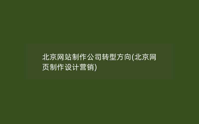 北京网站制作公司转型方向(北京网页制作设计营销)