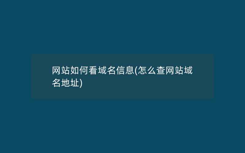 网站如何看域名信息(怎么查网站域名地址)